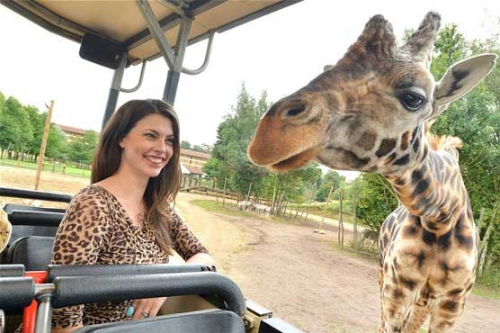 British zoo bans 'confusing' animal print clothing