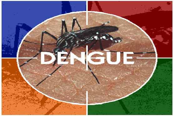 No death due to dengue in Punjab in 2013: Official 