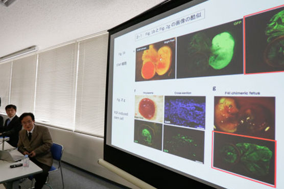 'Phony' stem cell research scientist to be punished in Japan