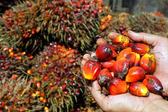 Indonesia swings to trade surplus on palm oil prices