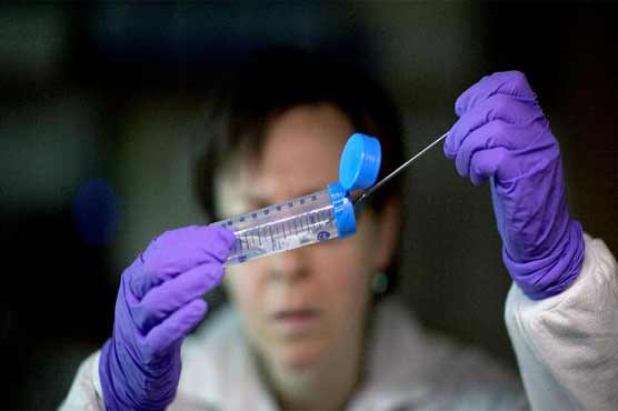 Experts decode germs' DNA to fight food poisoning