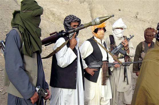 Govt not serious in peace talks: TTP