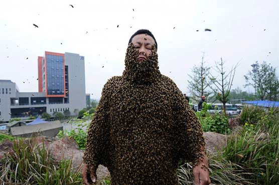Chinese man coverers himself in 460,000 bees for honey stunt