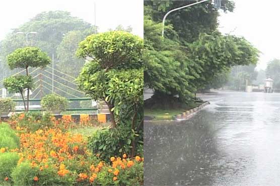Lahore: Rain turns weather pleasant