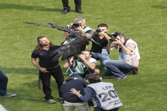 Nice protest ban on mascot eagle