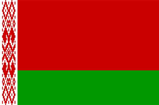Belarus executes convicted murderer: rights group
