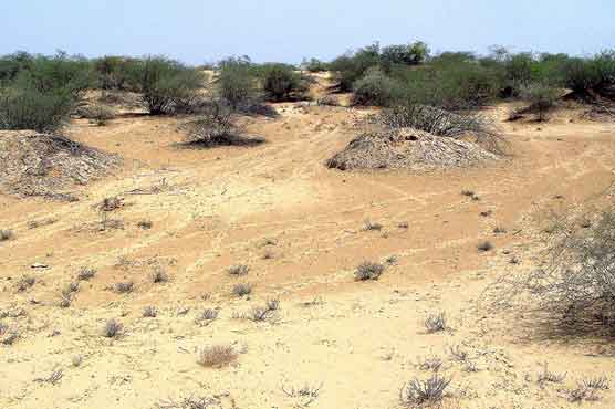 Pakistan plans huge desert solar park to curb energy crisis
