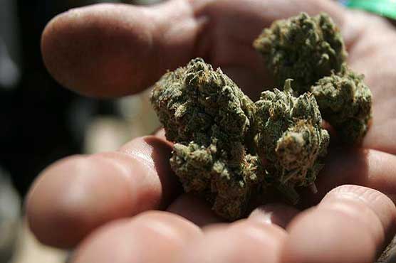 Two 10-year-olds caught selling grandparents' pot at Colorado school