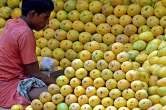 India irked by European Union mango ban 