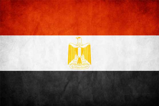 Invitation for longer-term Gaza Ceasefire 'still in place': Egypt