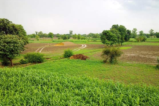 Raiwind: Son kills father, brother over property dispute