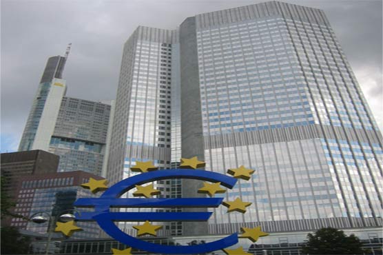 Eurozone growth momentum slows in current month: ECB