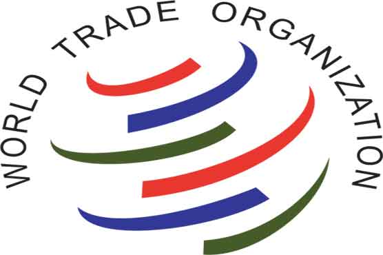 WTO confirms China rare earth trade limits break rules