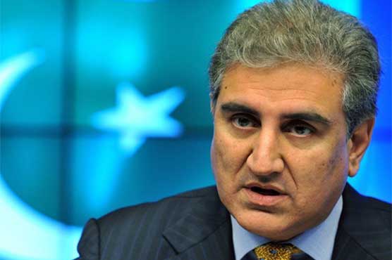 Qureshi accuses Punjab govt. of arresting PTI workers