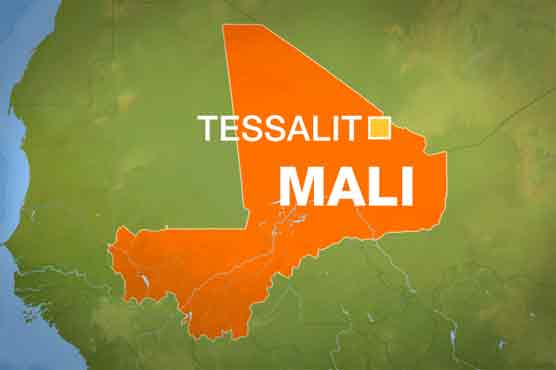 Two UN peacekeepers killed in Mali suicide attack