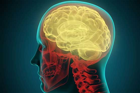 Neuroscientists say it's possible to overwrite bad memories