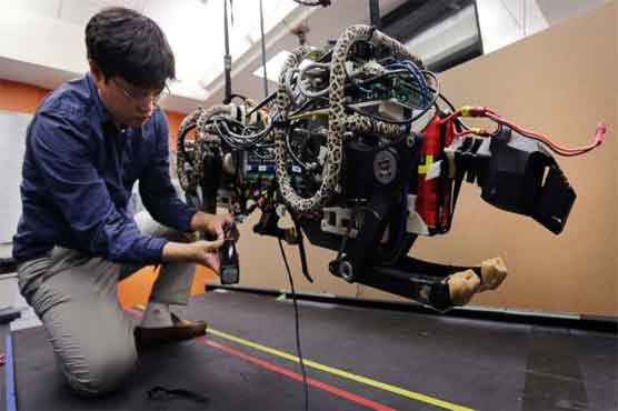 MIT engineers have high hopes for cheetah robot