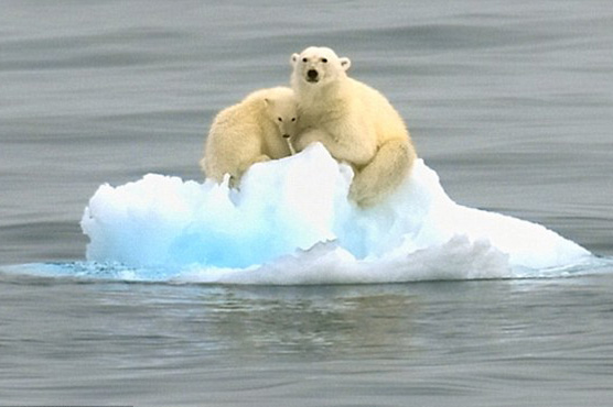 2014 may end as hottest year on record: UN's weather agency