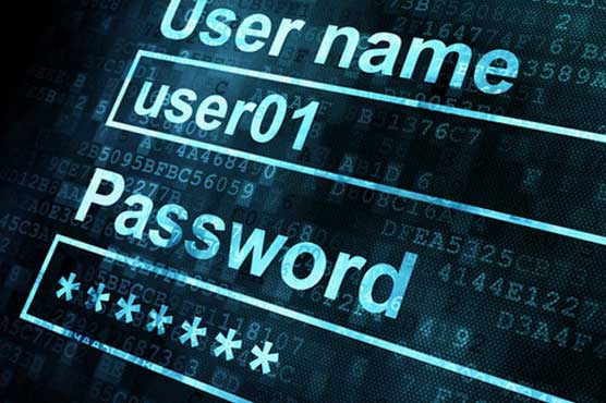 Police arrested 77 Chinese in internet hacking case