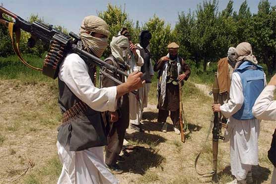 Afghan Taliban's rebellion forces Pakistan Taliban to flee