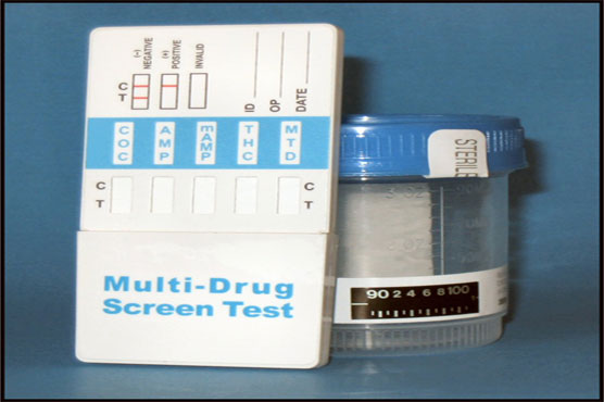 Hungary mayor wants drug tests for 12-18 year olds