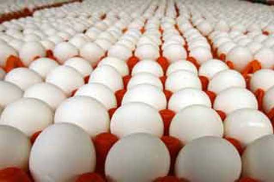 Thieves in Puerto Rico nab 456,000 eggs: Police