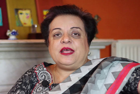 PTI stresses upon Sanaullah's arrest for Faisalabad firing