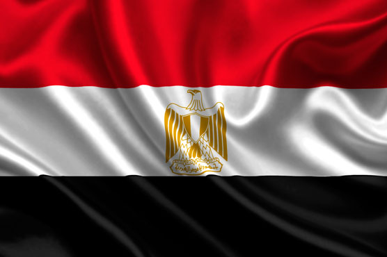 Egypt denies entry to prominent American scholar