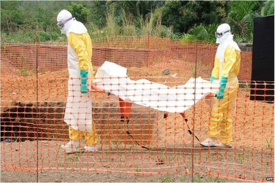 Ebola in 2015 - end of the line for a killer?