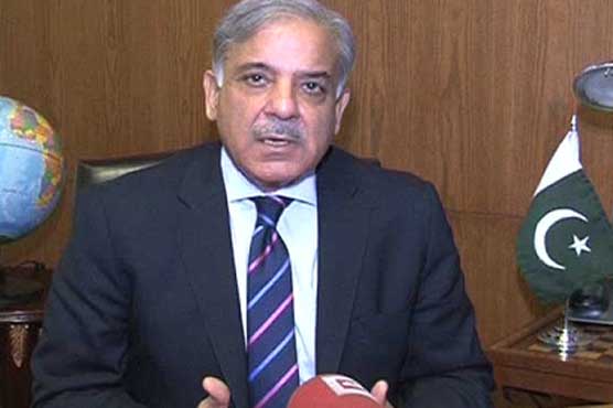 CM Punjab alleges Khan of destroying country's economy