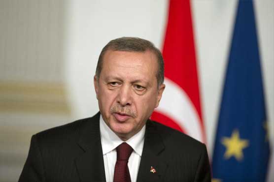 Erdogan tells EU to 'mind own business' over Turkey arrests