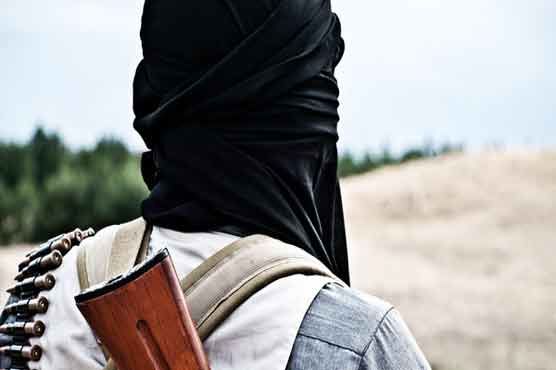 Seven held in Spain, Morocco in probe on women jihadists