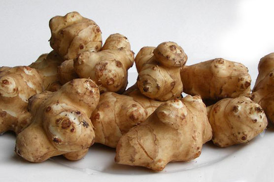 Woman convicted of criminal damage for spraying weed killer on sister's prize winning artichokes