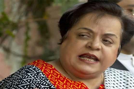 Imran Khan replaces Qureshi with Mazari for National Plan committee