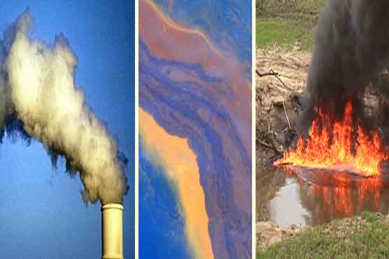 China cracks down on environmental crimes