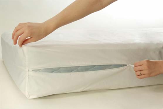 Man mistakenly sells mattress set with cat inside