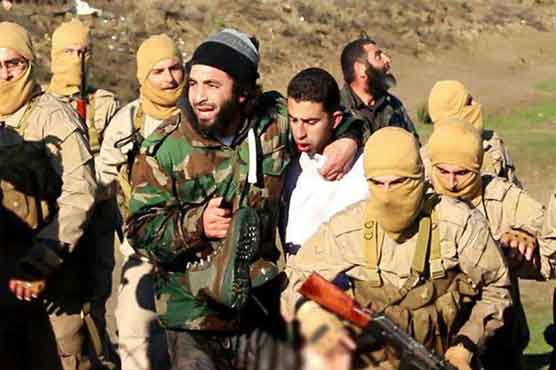 IS downs warplane over Syria, claims capture of Jordan pilot 
