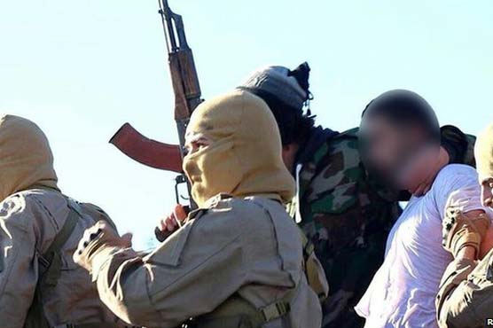 Jordan confirms IS captured pilot after plane went down in Syria
