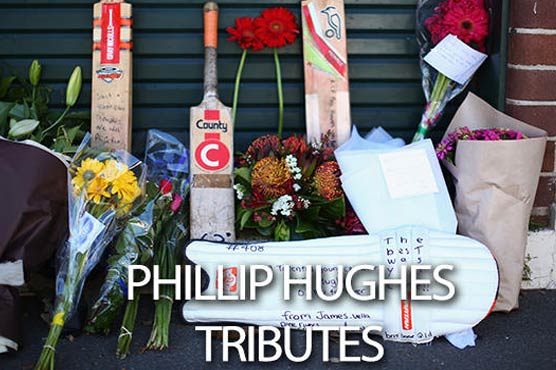 Bat on Everest planned as tribute to Hughes