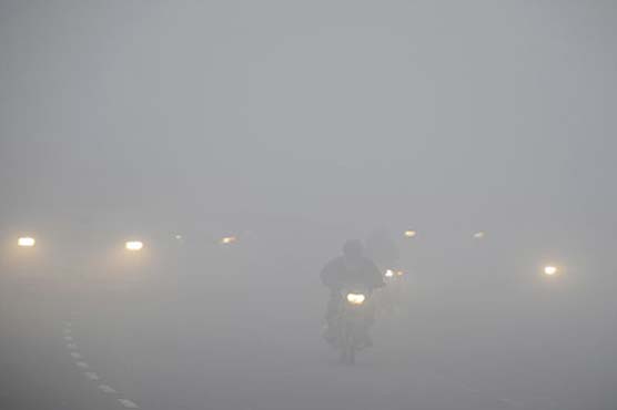 Dense fog envelopes different areas, cold wave tightens grip