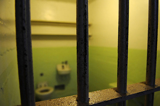 Two Thais plead guilty to insulting royals in play