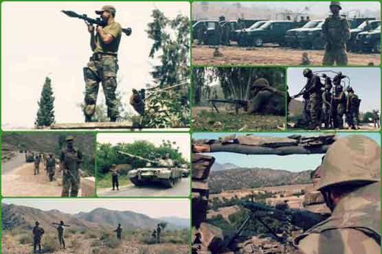 2,006 militants killed in Zarb-e-Azb: Secretary Defence