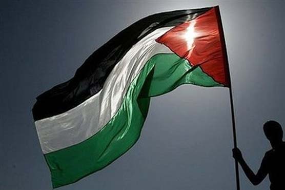Palestinians mull next move after UN statehood rebuff 