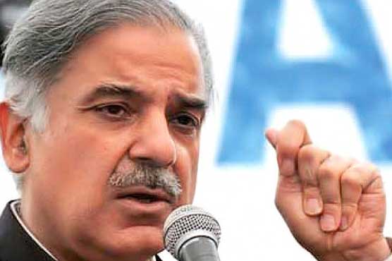 Govt expediting efforts to overcome energy crisis: Shahbaz