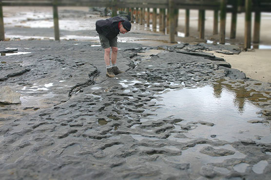 Earliest human footprints outside Africa found in Britain: scientists