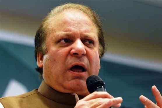 Govt peace committee enjoys full authority: PM 