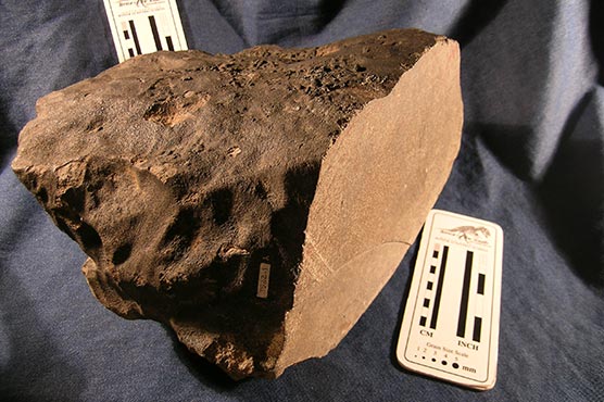 Rock from heavens is a scientists' delight