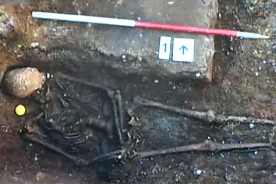 Scientists to map genome of medieval English king Richard III