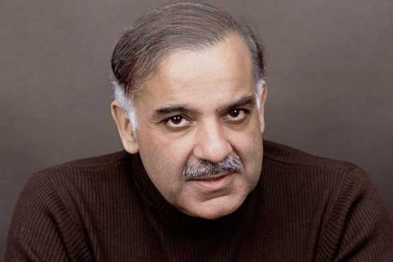 Nandipur power project to be completed ahead of schedule: Shahbaz