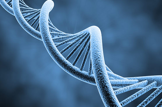 New forms of racism arise in science research